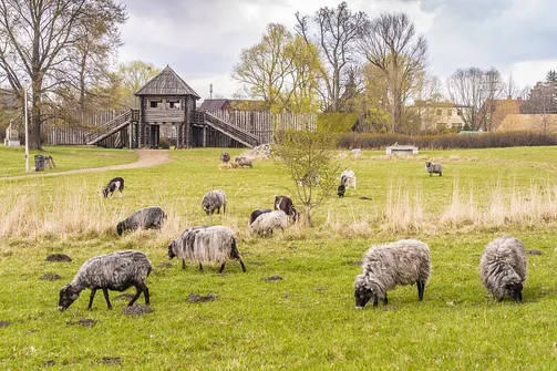Rezerwat Archeologiczny Zawodzie - Kaliski gród Piastów