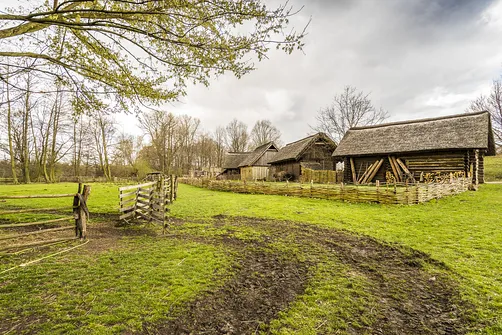 Rezerwat Archeologiczny Zawodzie - Kaliski gród Piastów