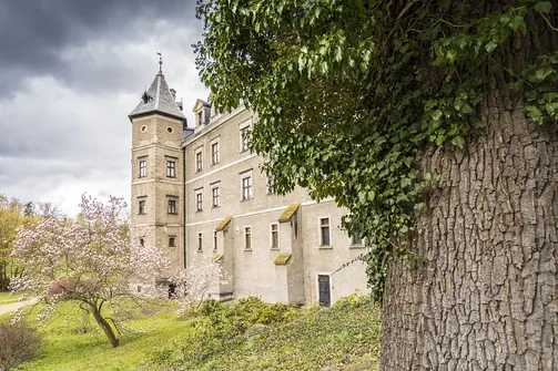 Zamek w Gołuchowie - szesnastowieczna budowla otoczona zabytkowym parkiem