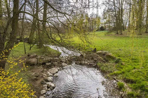 Zamek w Gołuchowie - szesnastowieczna budowla otoczona zabytkowym parkiem
