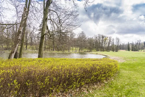 Zamek w Gołuchowie - szesnastowieczna budowla otoczona zabytkowym parkiem