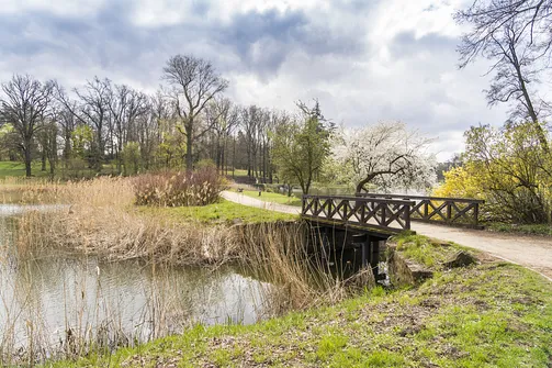 Zamek w Gołuchowie - szesnastowieczna budowla otoczona zabytkowym parkiem