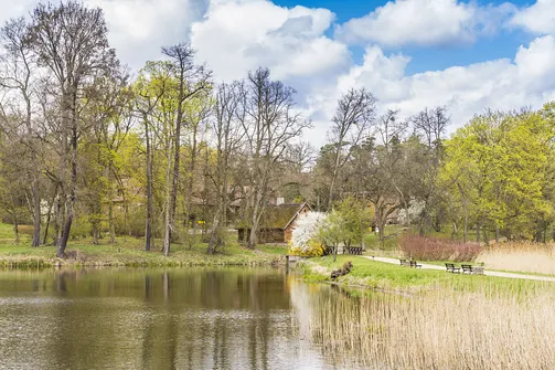 Zamek w Gołuchowie - szesnastowieczna budowla otoczona zabytkowym parkiem