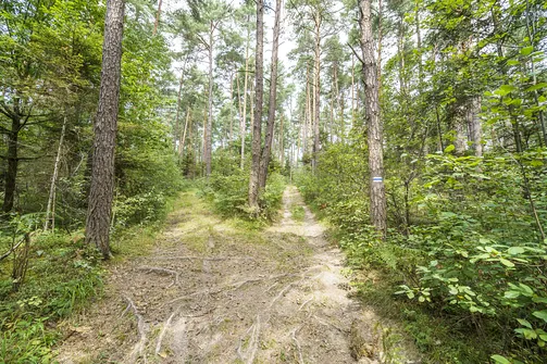 Początek podejścia na szczyt Sikorzy