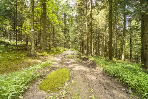 Sikorza, Otrocz, Telegraf - wędrówka przez trzy świętokrzyskie pasma górskie