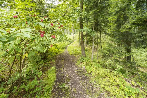 Sikorza, Otrocz, Telegraf - wędrówka przez trzy świętokrzyskie pasma górskie