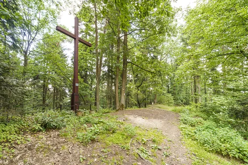 Szczyt góry Otrocz w Paśmie Daleszyckim w Górach Świętokrzyskich