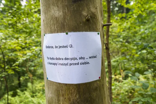 Sikorza, Otrocz, Telegraf - wędrówka przez trzy świętokrzyskie pasma górskie