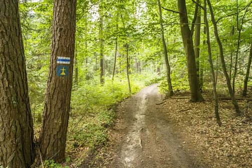 Sikorza, Otrocz, Telegraf - wędrówka przez trzy świętokrzyskie pasma górskie