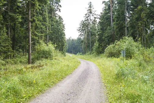 Sikorza, Otrocz, Telegraf - wędrówka przez trzy świętokrzyskie pasma górskie
