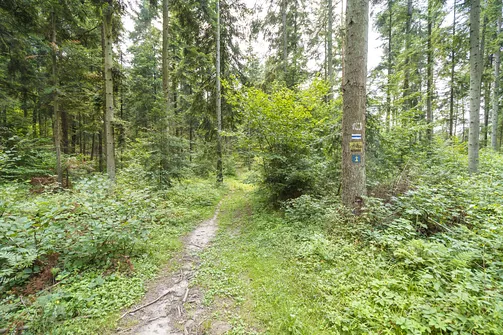 Sikorza, Otrocz, Telegraf - wędrówka przez trzy świętokrzyskie pasma górskie