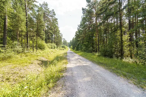 Sikorza, Otrocz, Telegraf - wędrówka przez trzy świętokrzyskie pasma górskie