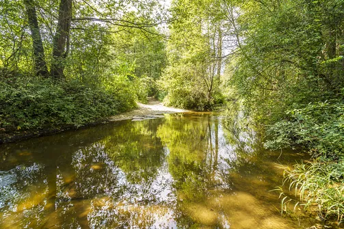 Rzeka Lubrzanka w okolicy wzniesienia Zalasna