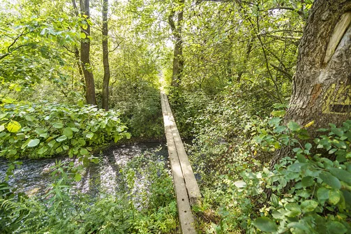 Kładka nad Lubrzanką z góry