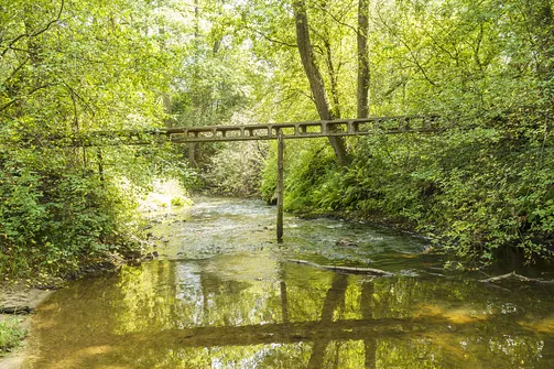 Kładka nad Lubrzanką z dołu