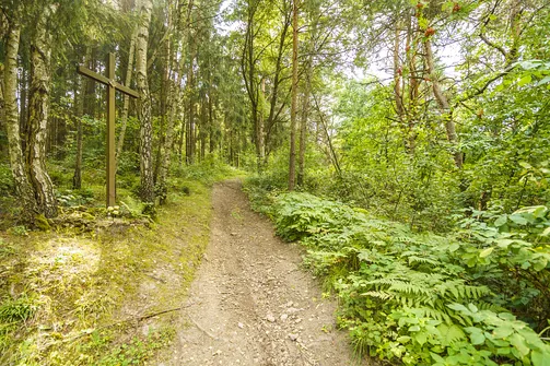 Stacja drogi krzyżowej przy szlaku na Zalasną