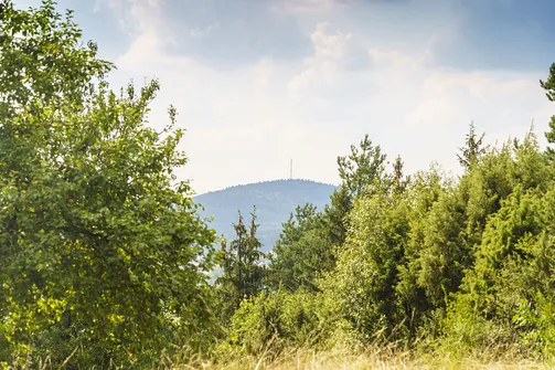 Widok z Zalasnej na górę Telegraf w Paśmie Dymińskim