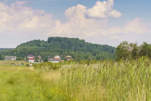 Widok na szczyt Zalasnej