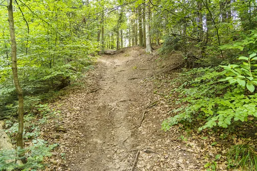 Sikorza, Otrocz, Telegraf - wędrówka przez trzy świętokrzyskie pasma górskie