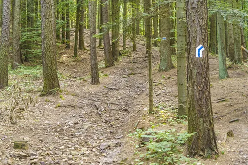 Niebieski szlak na górę Telegraf