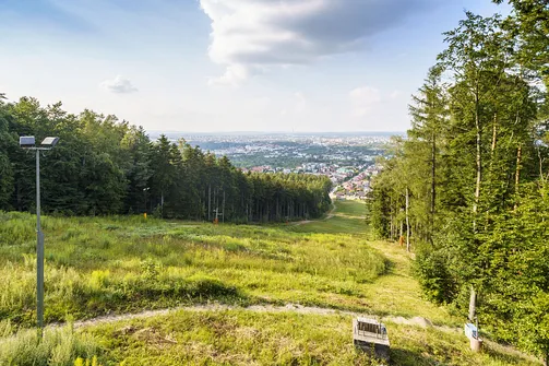 Trasa narciarska na górze Telegraf