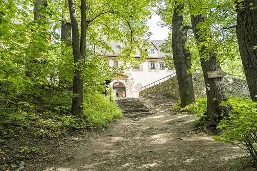 Zamek Grodno – malowniczo położony zamek w Zagórzu Śląskim