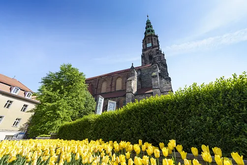 Mury katedry w Świdnicy