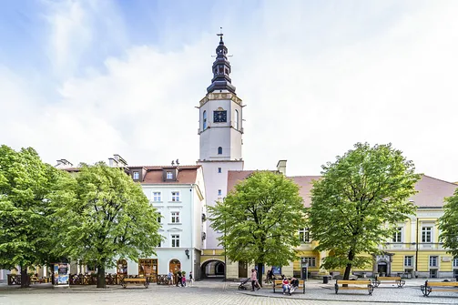 Wieża ratuszowa w Świdnicy z tarasem widokowym