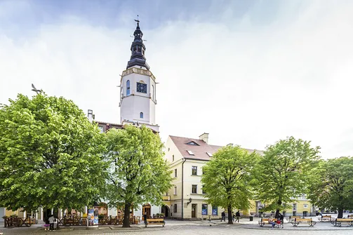 Wieża ratusza w Świdnicy - widok od strony północnej