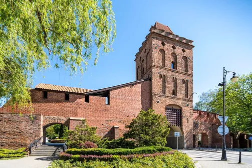 Oleśnica - miasto wież i róż