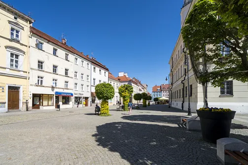 Rynek w Oleśnicy