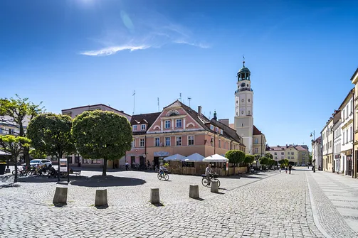 Oleśnica - miasto wież i róż
