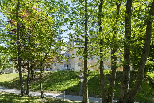 Oleśnica - miasto wież i róż
