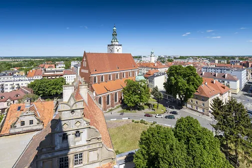 Zamek w Oleśnicy - widok z wieży zamku na miasto