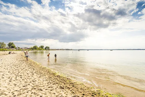 Cypel Rewski - atrakcja przyrodnicza Zatoki Puckiej