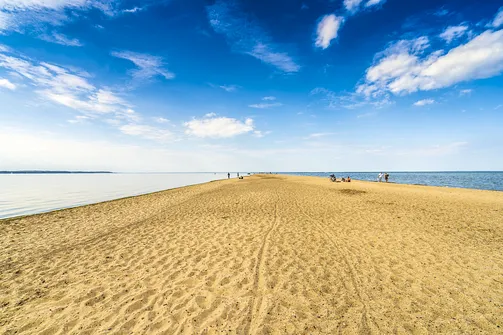 Cypel Rewski - atrakcja przyrodnicza Zatoki Puckiej