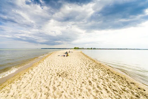 Cypel Rewski - atrakcja przyrodnicza Zatoki Puckiej