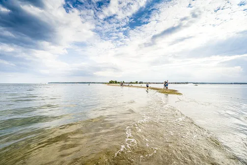 Cypel Rewski - atrakcja przyrodnicza Zatoki Puckiej
