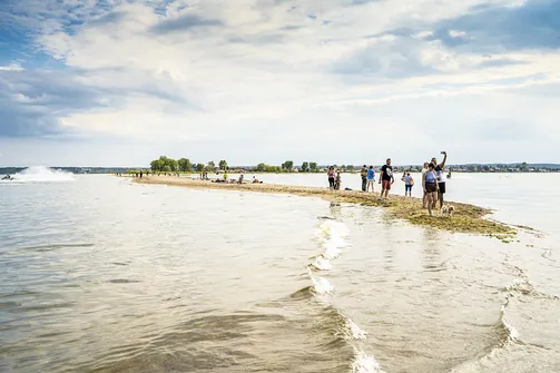 Cypel Rewski - atrakcja przyrodnicza Zatoki Puckiej