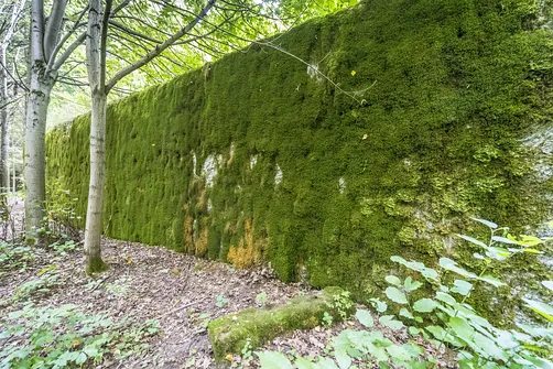 Mamerki – Kwatera Główna Niemieckich Wojsk Lądowych