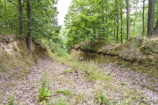 Góra Chełmo - wzniesienie z prastarym grodem