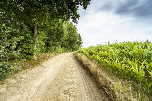 Góra Chełmo - wzniesienie z prastarym grodem
