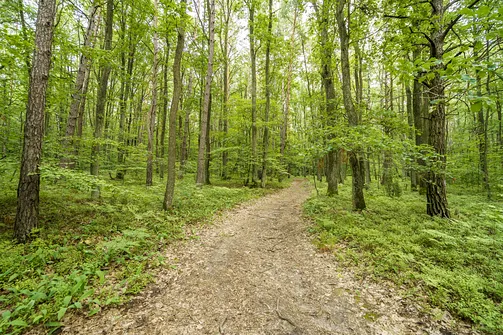 Góra Chełmo - wzniesienie z prastarym grodem