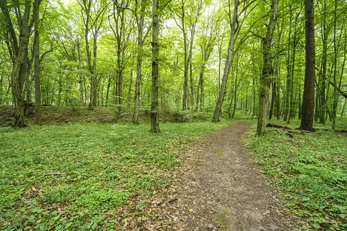 Góra Chełmo - wzniesienie z prastarym grodem