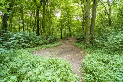 Szczyt góry Chełmo