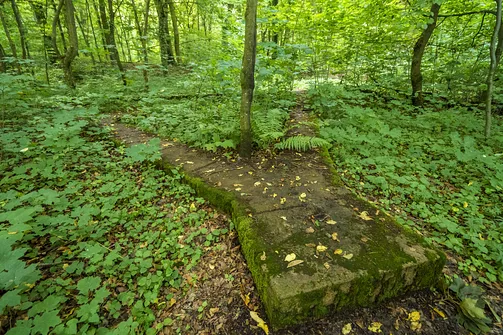 Betonowy fundament na górze Chełmo - pozostałość po wieży obserwacyjnej