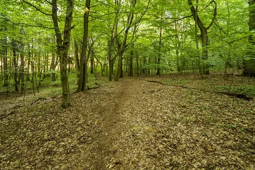 Góra Chełmo - wzniesienie z prastarym grodem