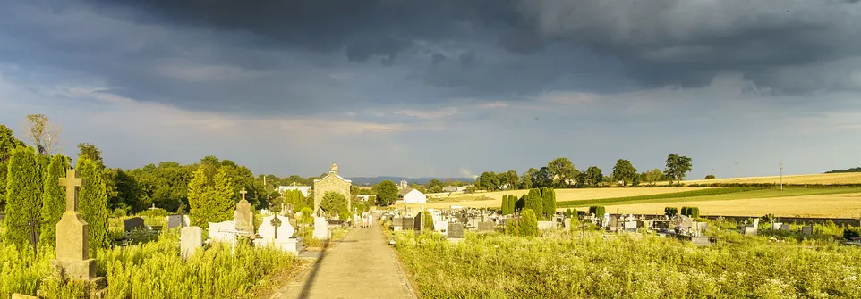 Panorama cmentarza w Chełmie