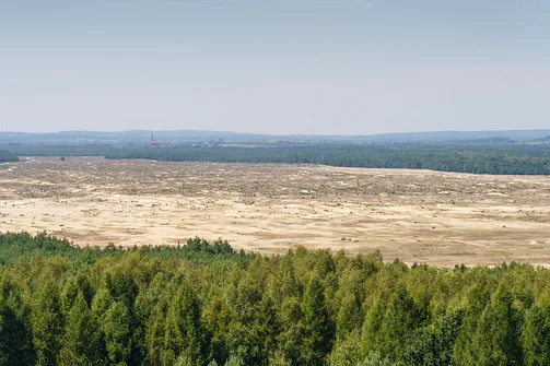 Pustynia Błędowska - największa pustynia w Polsce