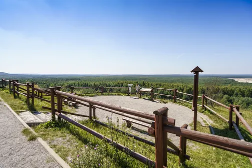 Pustynia Błędowska - największa pustynia w Polsce